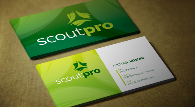 ScoutPro Identity