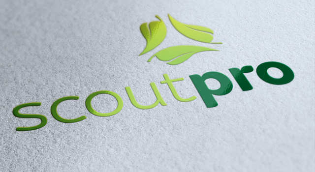 ScoutPro Identity