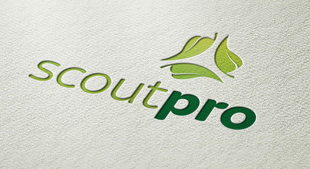 ScoutPro Identity
