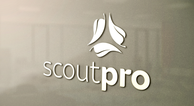 ScoutPro Identity